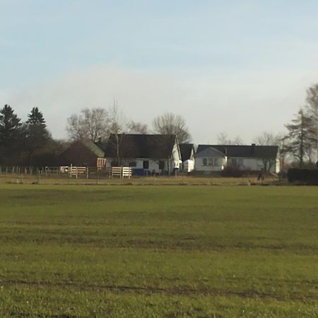 Laegenhet Lillisgarden Guest House Vallakra Bagian luar foto