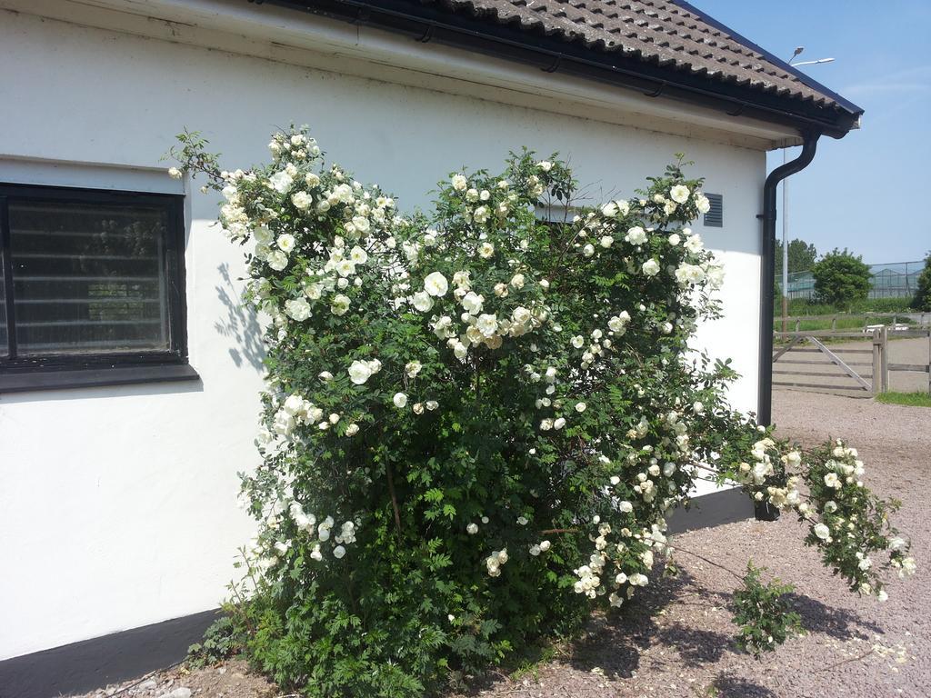 Laegenhet Lillisgarden Guest House Vallakra Bagian luar foto
