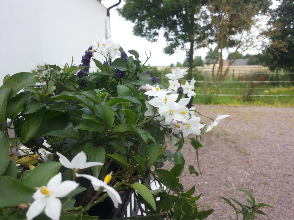 Laegenhet Lillisgarden Guest House Vallakra Bagian luar foto